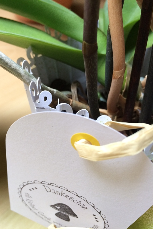 aufdeineweise.de Blog BlumentopfManschette