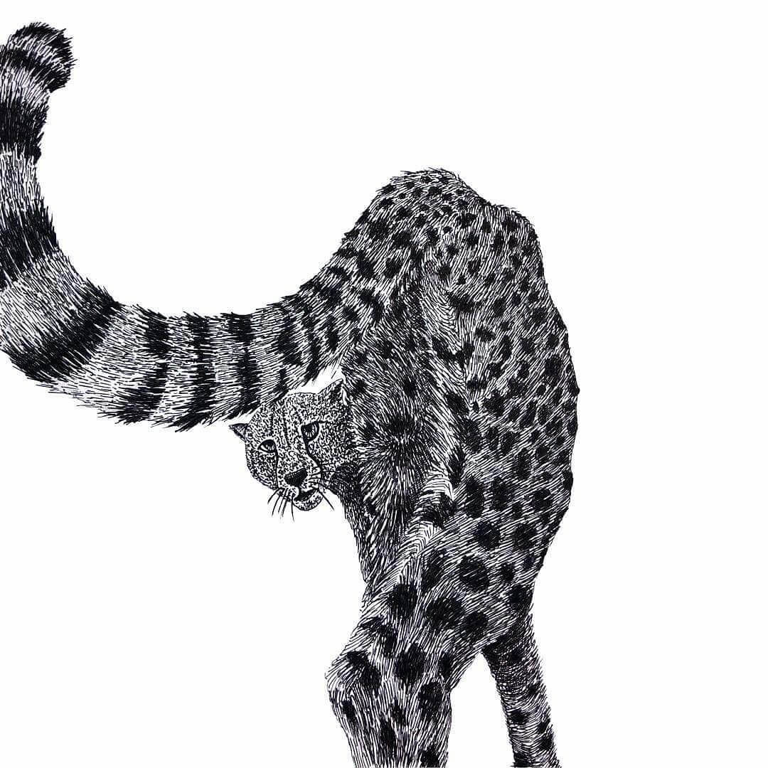 04-Cheetah-Gaspar-Animal-Stippling-and-Cross-Hatching-B&W-Drawings-www-designstack-co