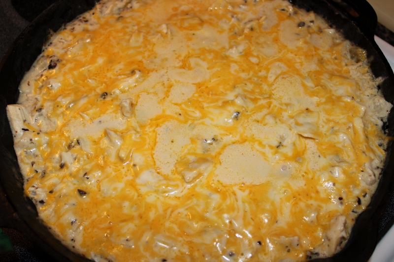 Front Range Fork And Cork One Pan Sour Cream Enchilada Skillet and Spring