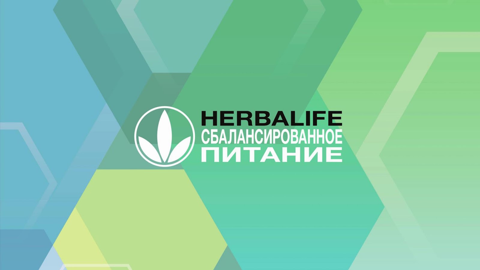 Концепция Питания 24 часа. Гербалайф