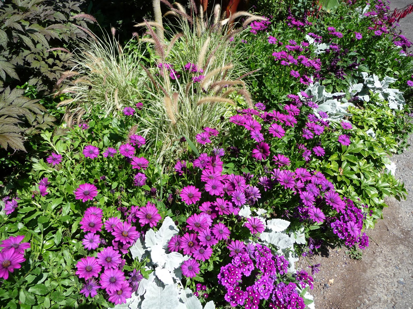 Donna's Report: Minter Gardens, Rosedale, BC
