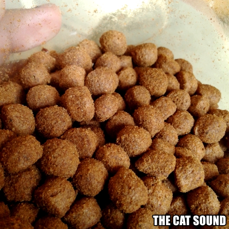 The Cat Sound Review Makanan Kucing Happy Cat Adult Salmon Dry Food