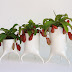 Carnivora Plant Pots By Tim Van De Weerd