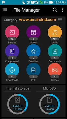 Asus File Manager Home Screen