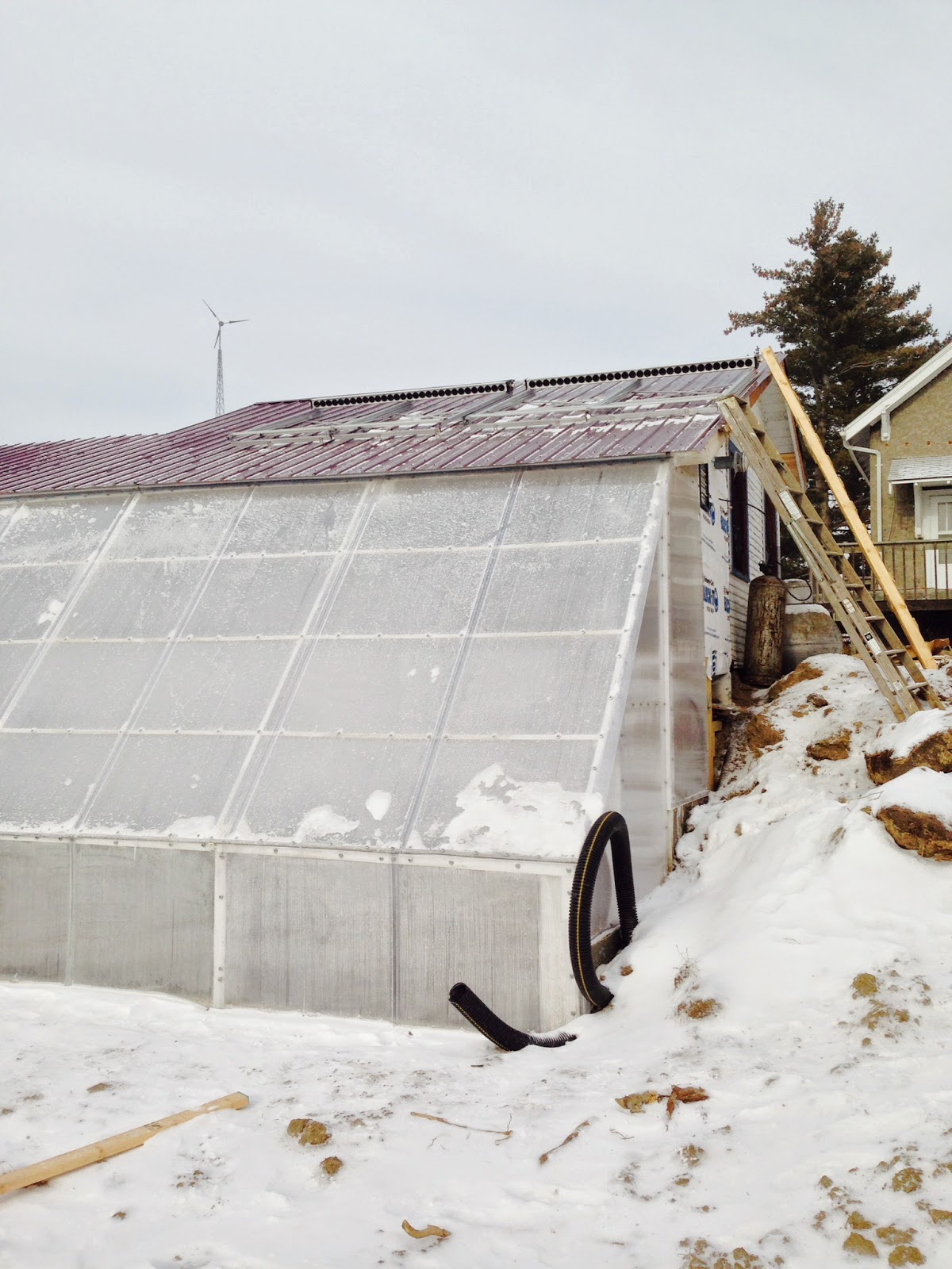 Зимняя горка из снега. Как построить зимнюю. Укрытие из снега. Теплица зимой. Домик из снега.