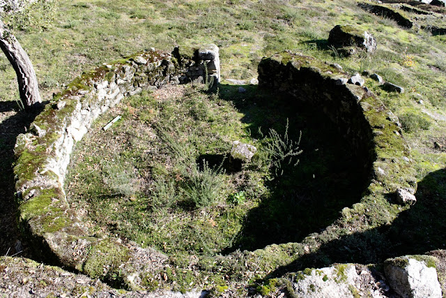 Citânia de Briteiros