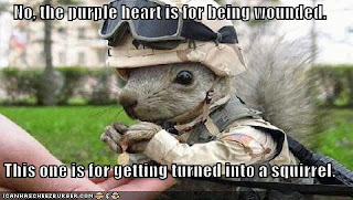 The teach Zone: Funny military pictures with captions The teach Zone: Funny military pictures with captions
