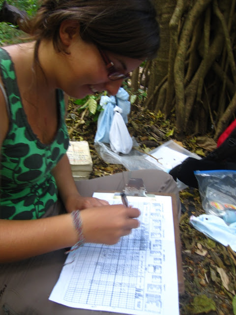 bird mist netting research Nicaragua MOSI
