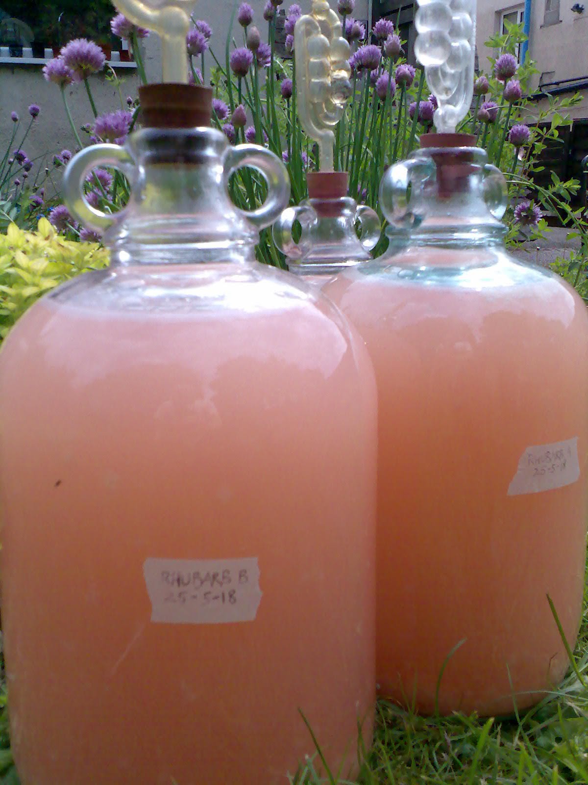 Ben's Adventures in Wine Making Rhubarb Wine 2018 The Making Of...