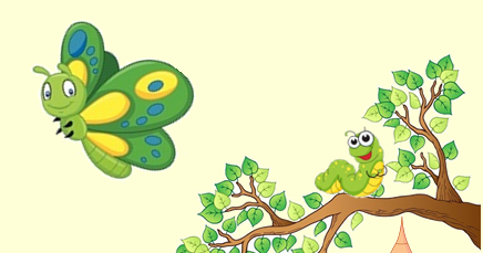 A Transformacao Da Lagarta Coruja Garatuja