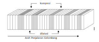 Gelombang Seismik