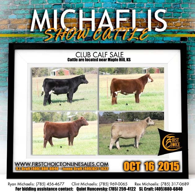 Fatsteer News: MICHAELIS SHOW CATTLE ONLINE CLUB CALF SALE