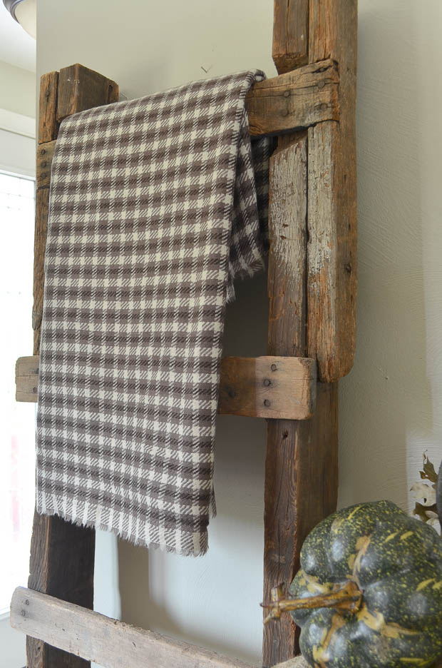 A rustic wood ladder is the perfect place to display a wool throw for fall.