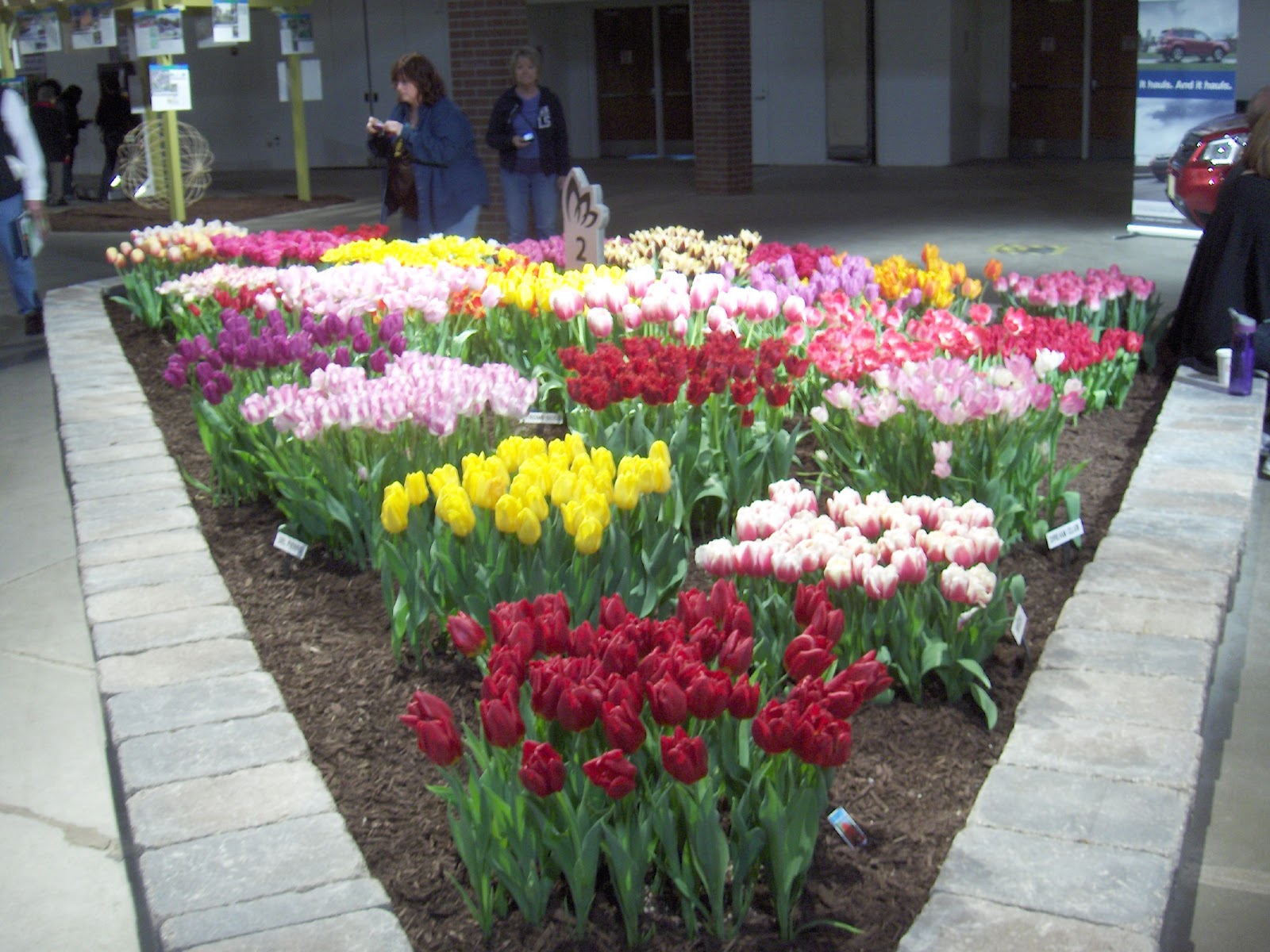 Somethings Old, New, Green, Redo! Garden ShowNavy Pier