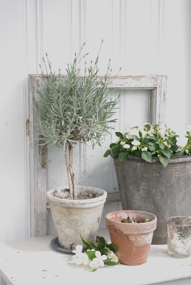 Content in a Cottage Lovely Lavender Topiary
