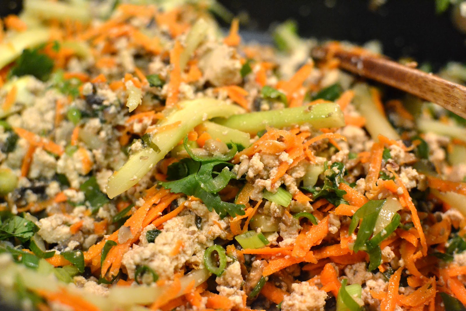 From Horses to Photography: Tofu Mushroom Lettuce Wrap