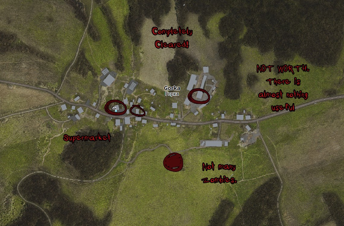 Dayz Sopravvivere all'Inferno Gorka