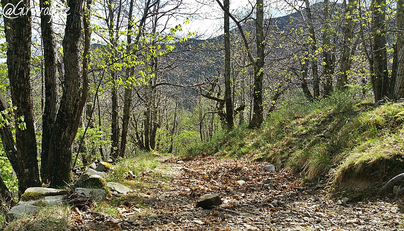 trekking orsigna sentiero terzani