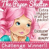 Winner at Kit and Clowder Create and Learn Challenge sponsored by The Paper Shelter