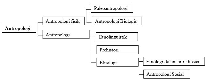 Definisi antropologi menurut para ahli