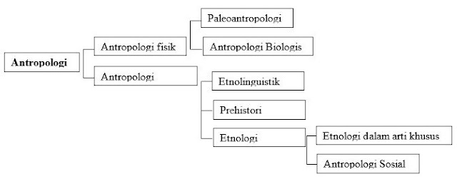 Pengertian dan Ruang Lingkup Antropologi 2_