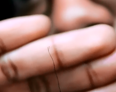 Image result for split ends