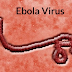 3 dead as Ebola virus resurfaces in DR Congo 