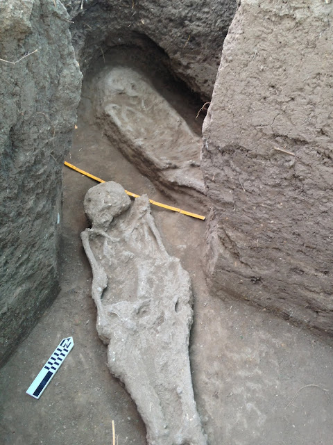 Human settlements in Amazonia much older than previously thought