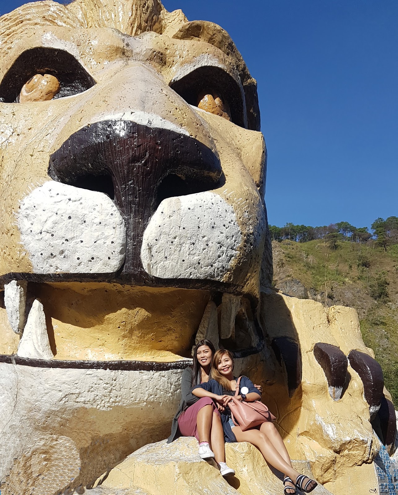 Stupefying Trips BAGUIO Lion's Head