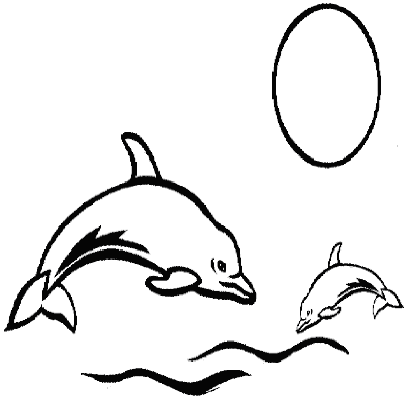 Coloring Pages Of Dolphins