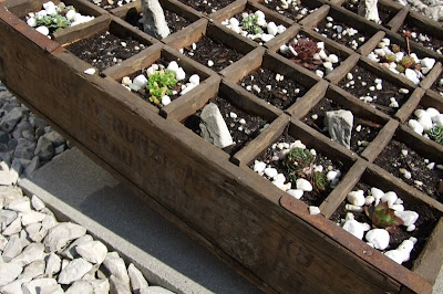 MIXED MEDIA & MORE: Mini-Steingarten.........