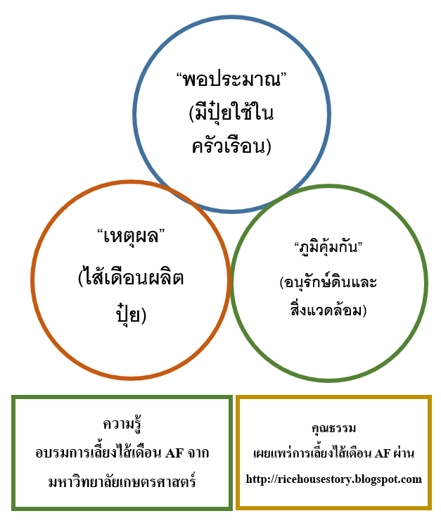 My Image 6