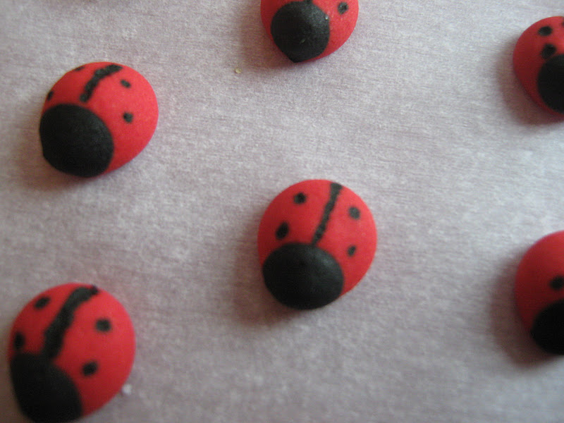Rindy Mae Royal Icing Ladybugs