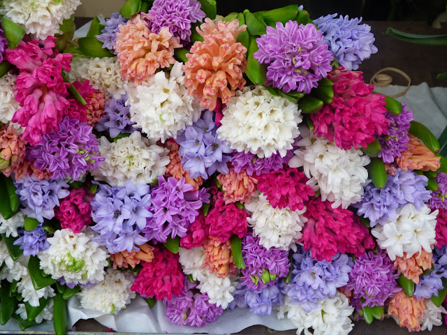 Hyacinths in bloom at Columbia Road Flower Market, East London
