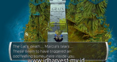 Walkthrough Harvest Moon Innocent Life Autumn Minggu Pertama Id Harvest