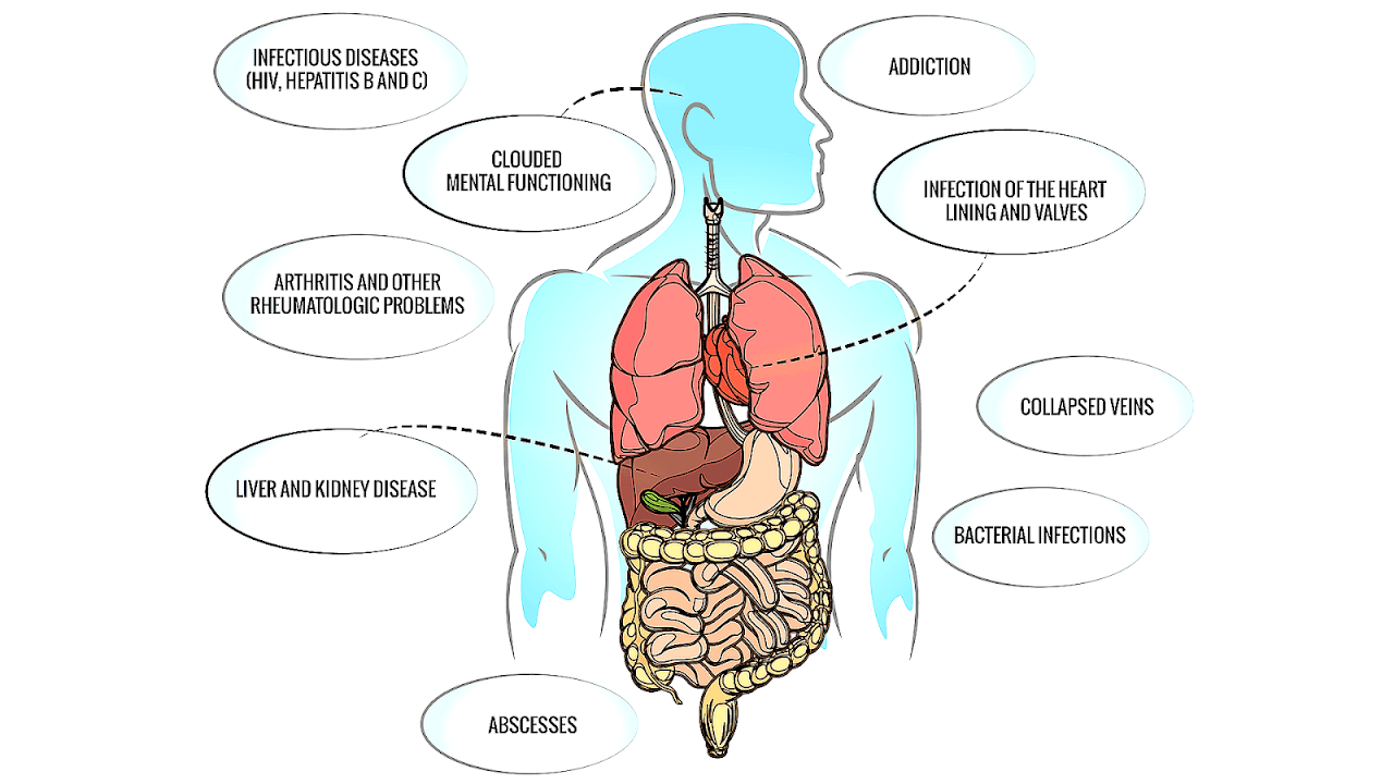 What Drugs Can Do To Your Body Body Choices