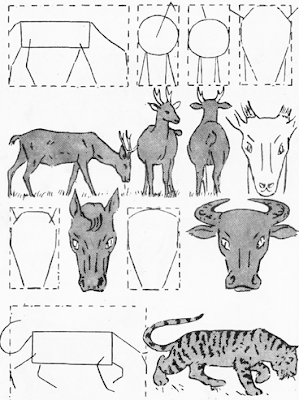 Cara Praktis Menggambar Hewan dari sketsa awal yang sederhana.