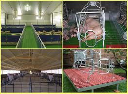 PORCICULTURA INSTALACIONES EBOOK DOWNLOAD PORCICULTURA INSTALACIONES EBOOK DOWNLOAD