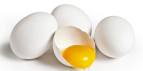 Manfaat Telur Ayam Untuk Kesehatan Manfaat Telur Ayam Untuk Kesehatan