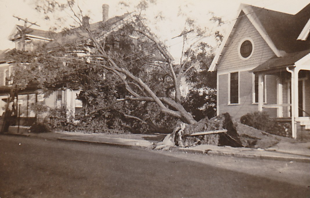 Maynard Life Outdoors and Hidden History of Maynard Treeless in Maynard