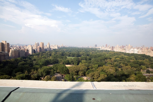 A NY Athletic Club wedding comes with this view. 
