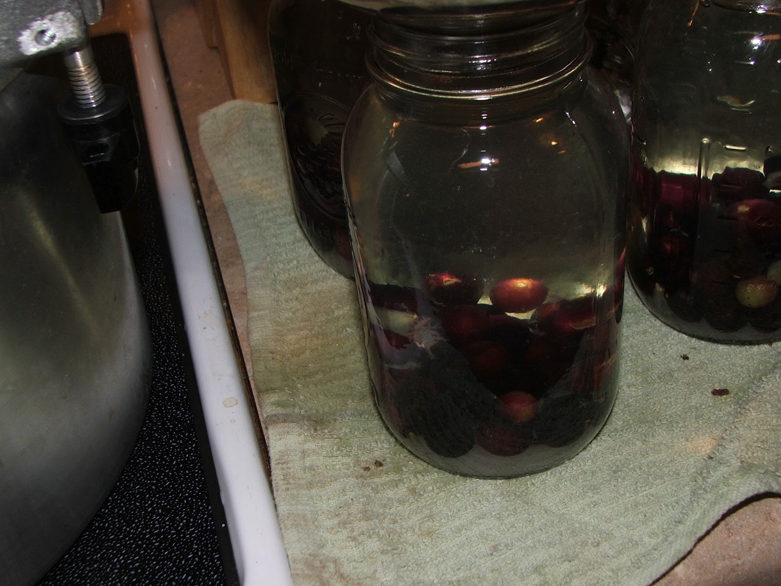 Canning Granny Canning Muscadine Juice (Mama's Easy Way)