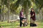 katamrayudu Stills-thumbnail-cover
