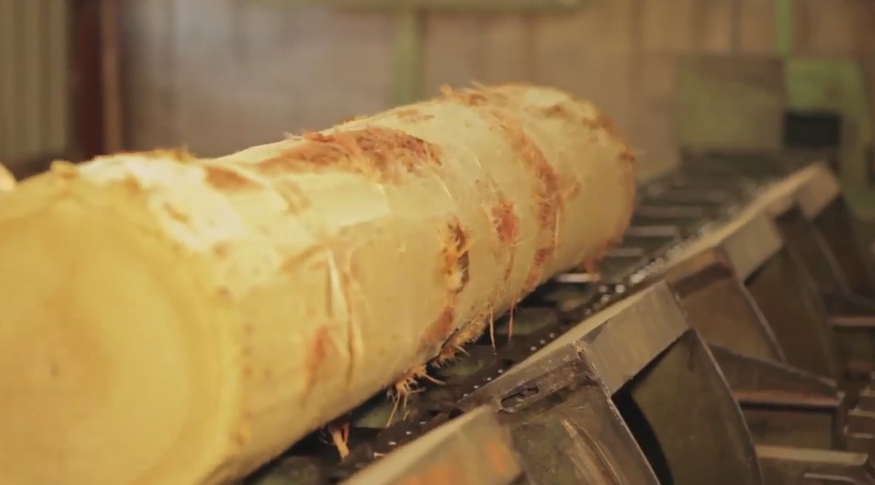 MEC&F Expert Engineers Mohawk Industries worker Seedy Bah died from