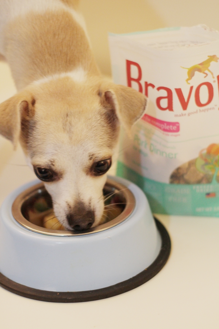 Bravo Raw Dog Food Homestyle Complete Dinners Review — HAPPYHAZEL