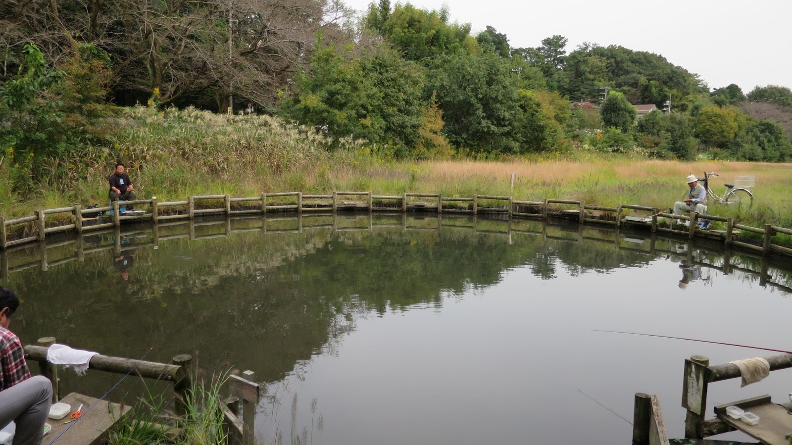 吉祥寺などの情報をゆる く紹介 野川公園の第一調整池に釣り堀