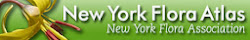 New York Flora Atlas