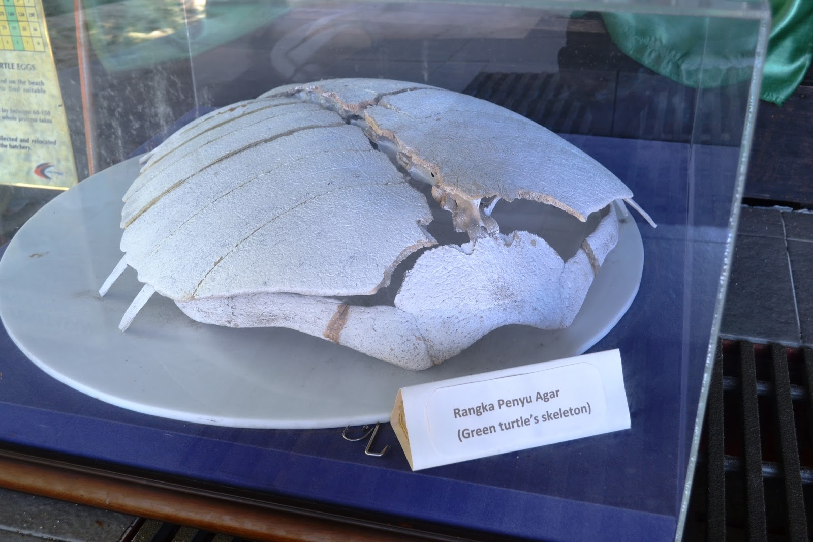 Kerajaan negeri pulau pinang