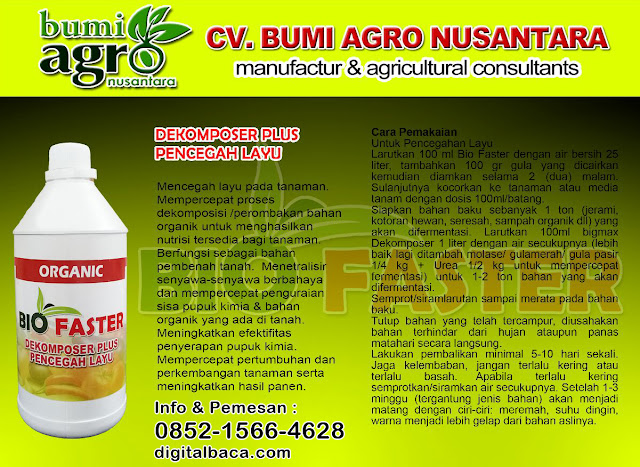 BIO Faster Dekomposer Plus, Pencegah Layu pada Tanaman obat layu pada tanaman cabai, penyebab tanaman cabe layu dan mati, obat layu fusarium, fungisida untuk layu fusarium, layu bakteri pada cabai, harga obat arashi, harga arashi, obat layu bakteri, obat layu bakteri, fungisida untuk layu fusarium, harga obat arashi, penyebab tanaman cabe layu dan mati, layu bakteri pada cabai, obat layu fusarium, penyakit pada tanaman cabai dan cara mengatasinya, penyakit layu fusarium,
