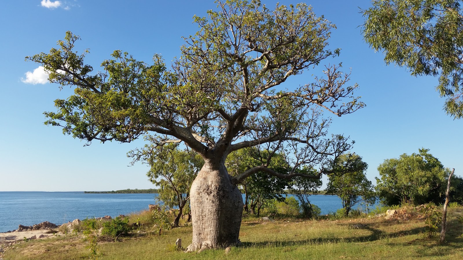 The Top End, Kimberley, Coral Coast and Pilbara 2016 Kalumburu